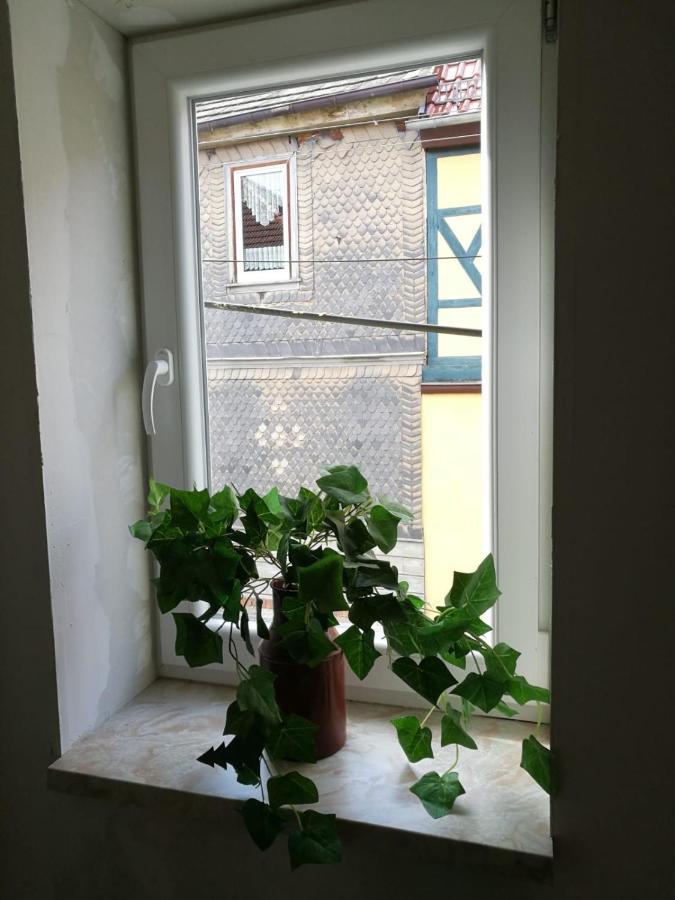 Hainich Oberdorla Bagian luar foto